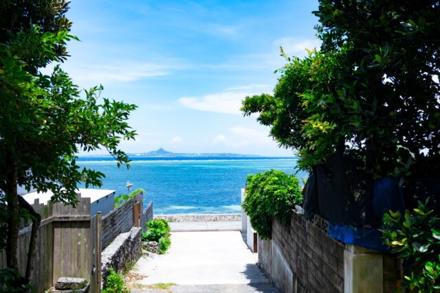 備瀬海岸へ続く道