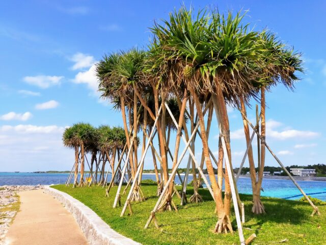 Emerald Beach