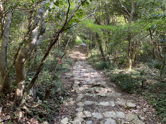 嘉津宇岳