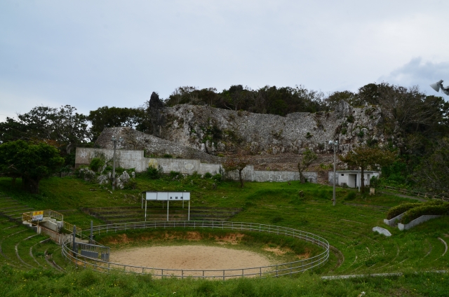 Ruins of Ankina Castle