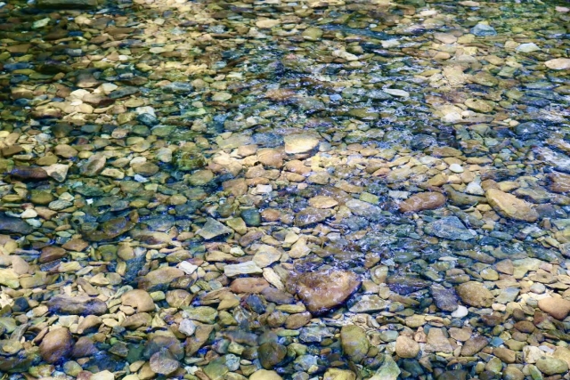 沖縄　やんばる　源河川