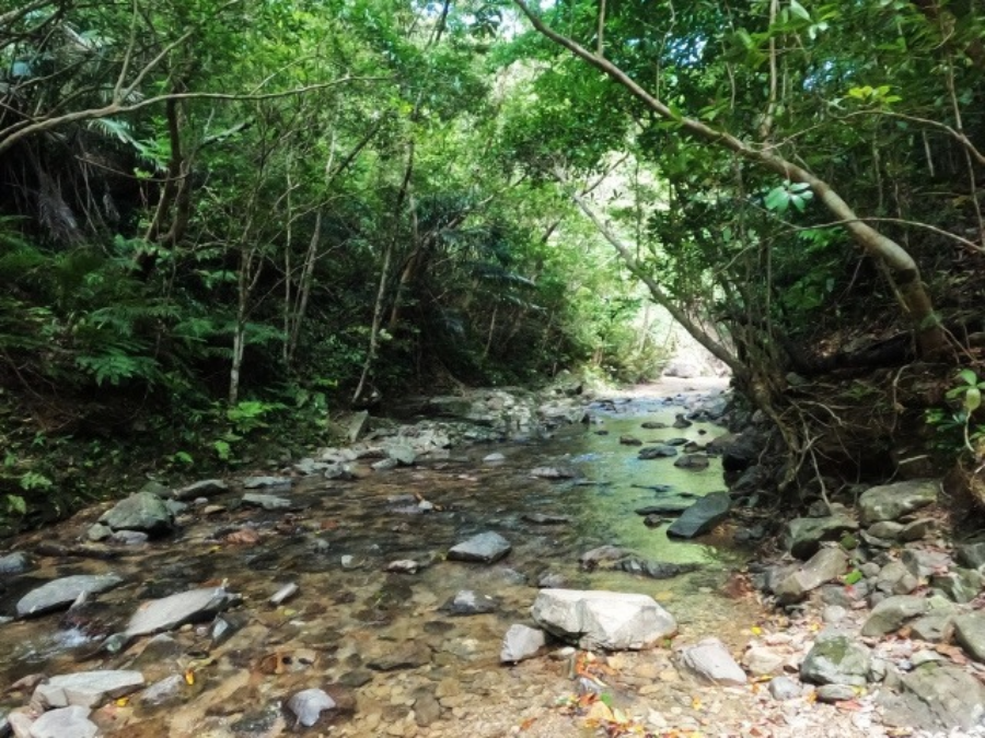 源河川